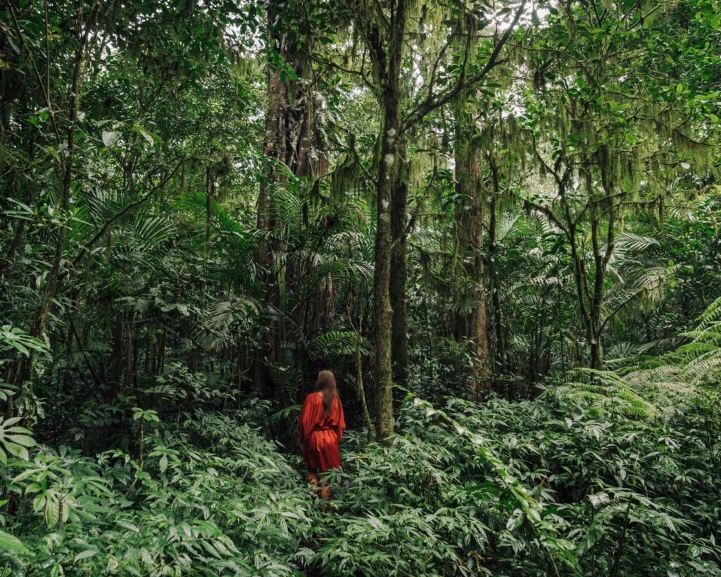 Se conecte com a Floresta Amazônica! Passe o dia em um refúgio no meio da Floresta! - Imagem 4