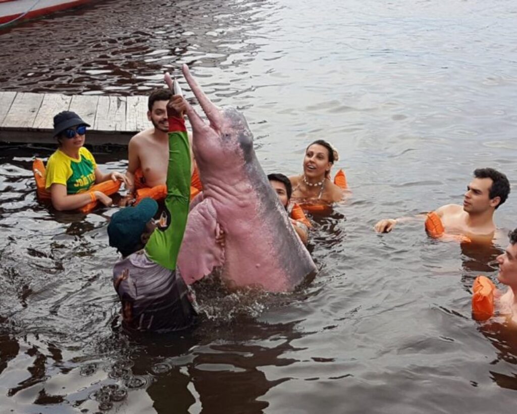 Surpreenda-se com icônico encontro das águas, nade ao lado de botos e conheça uma tribo indígena! - Imagem 3