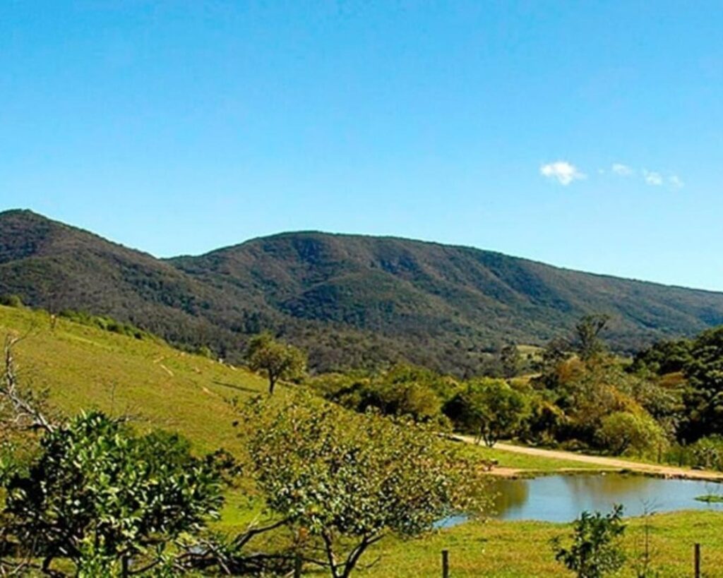 Serra do Japi! Surpreenda-se em uma vivência na horta orgânica e um delicioso chá da tarde! - Imagem 2