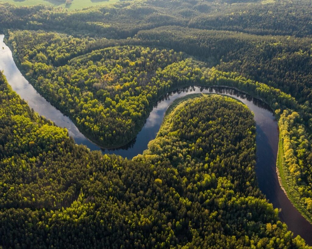 Floresta Amazônica! Dois dias de imersão selvagem na maior floresta tropical do mundo!
