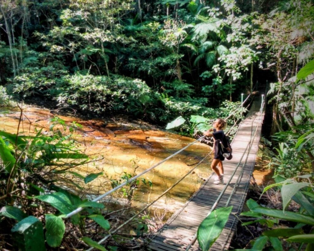 Aventura e História na Floresta da Tijuca! Conheça o parque nacional mais visitado do Brasil!