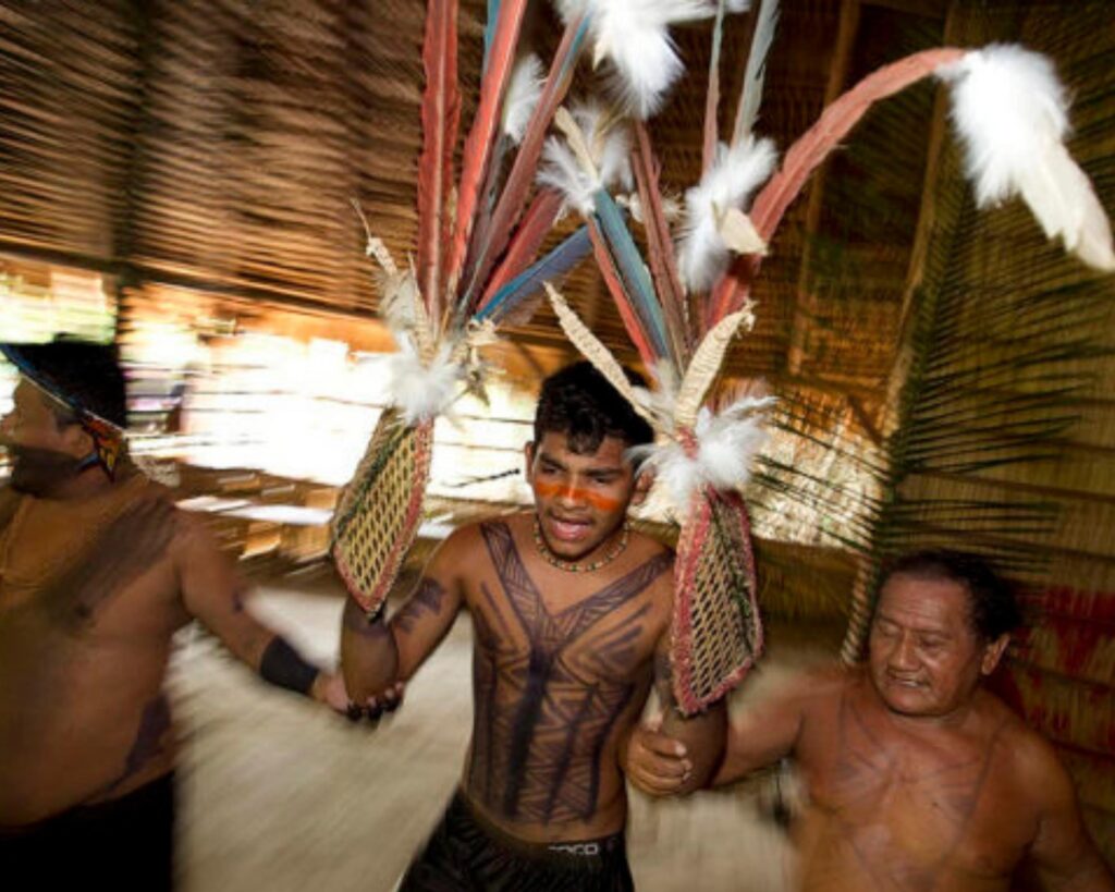 Imersão na Amazônia! Conheça a tribo Sateré Mawé e participe do surpreendente ritual da formiga tucandeira! - Imagem 2