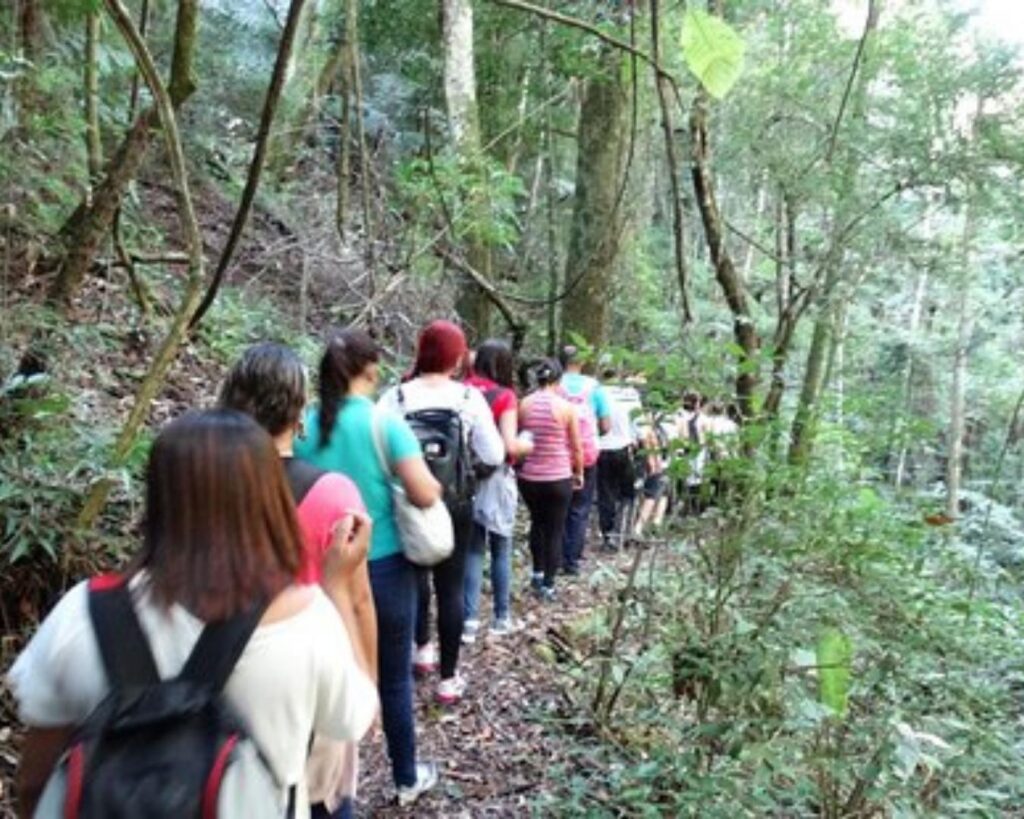 Serra do Japi! Surpreenda-se em uma vivência na horta orgânica e um delicioso chá da tarde! - Imagem 3