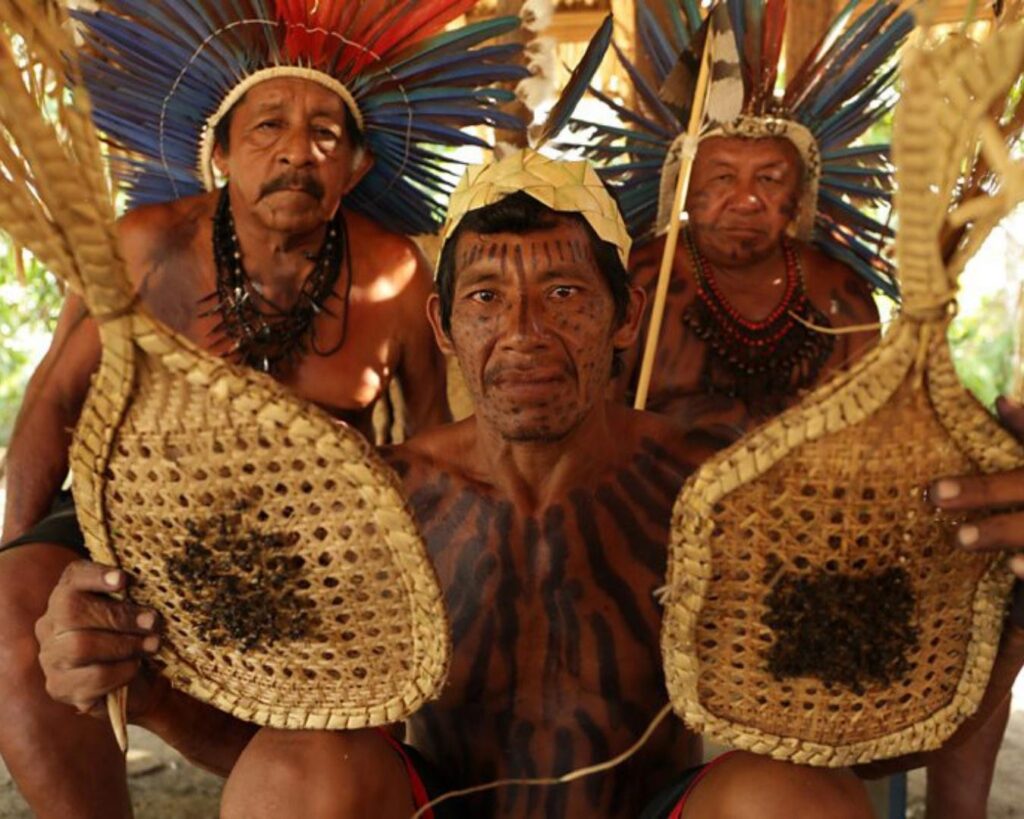 Imersão na Amazônia! Conheça a tribo Sateré Mawé e participe do surpreendente ritual da formiga tucandeira!