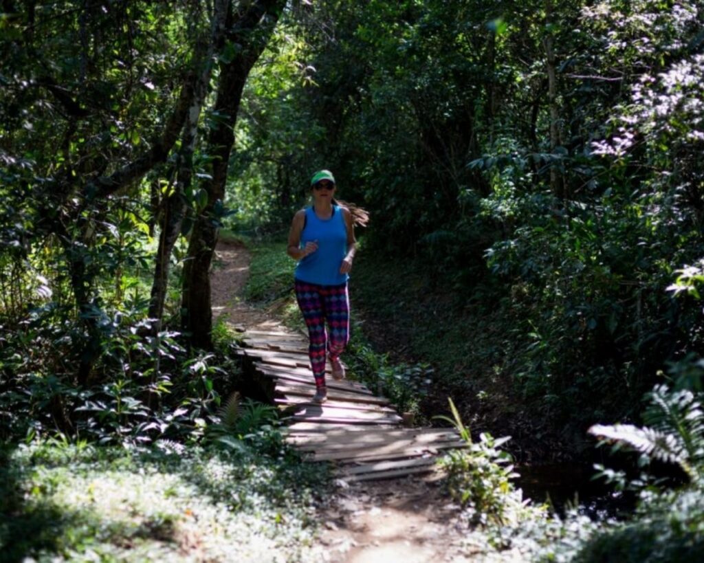 Se encante com o ecoturismo em Minas Gerais! Conheça Trilha do Carteiro na Serra de São José - Imagem 4