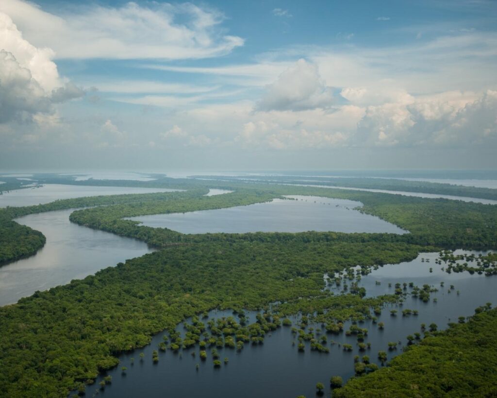 Passeio pelo Arquipélago de Anavilhanas! Se aventure no meio da selva e entre em contato com a natureza!