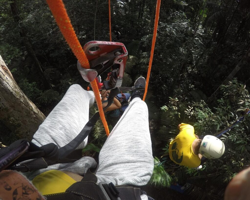 arvorismo amazonia