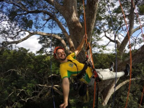 arvorismo amazonia