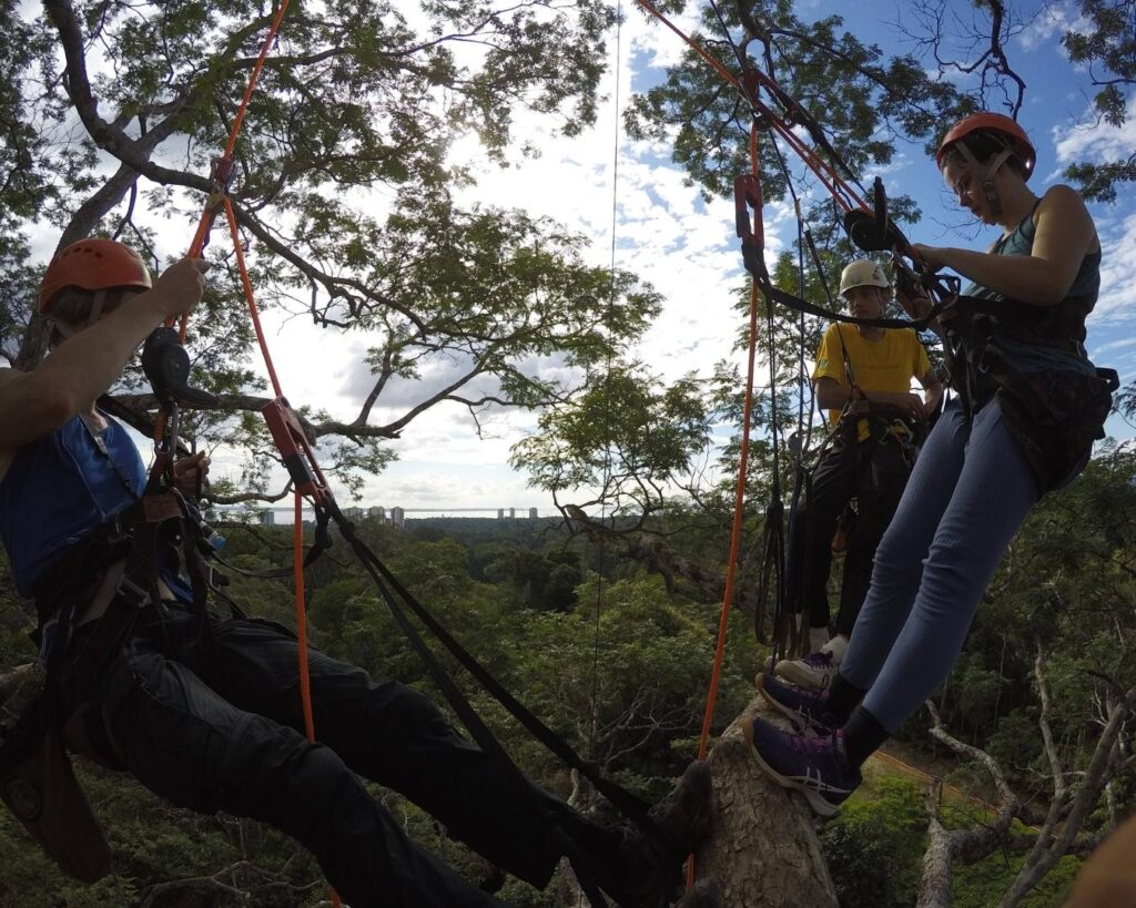 arvorismo amazonia