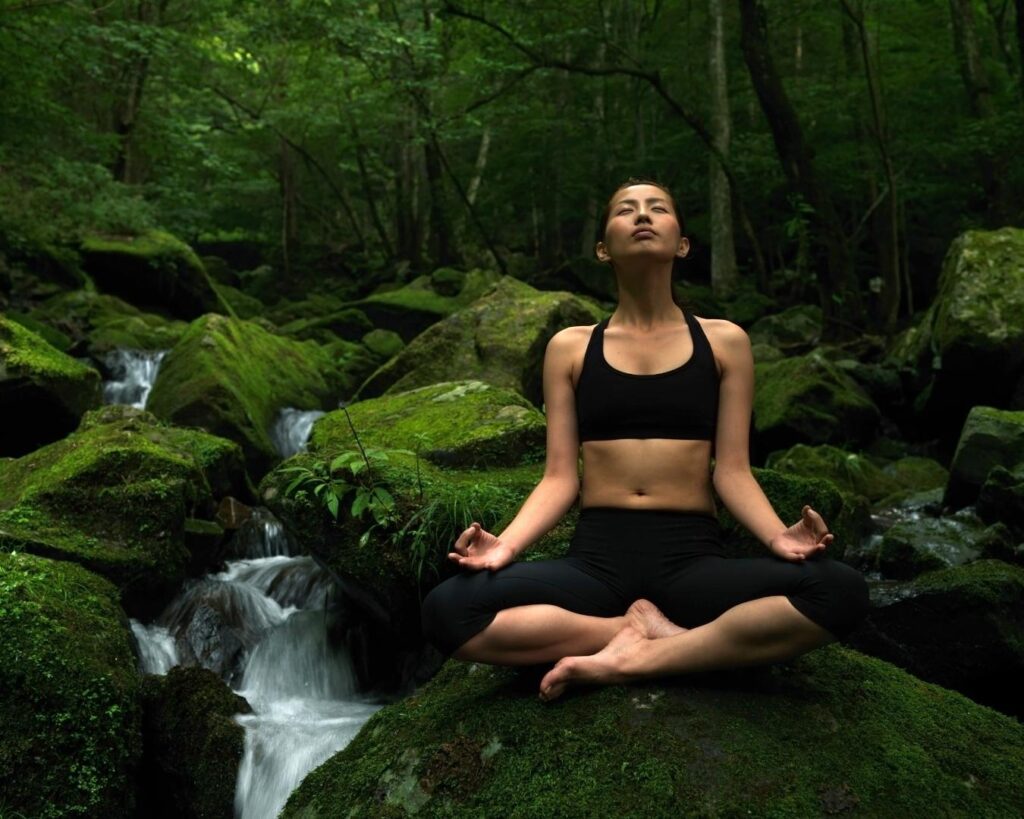 Detox na Floresta! Um final de semana de experiências inesquecíveis em contato com a natureza! - Imagem 2