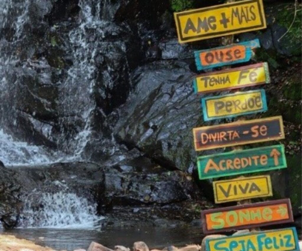 Contemple a natureza e relaxe em um Banho de Floresta! - Imagem 4