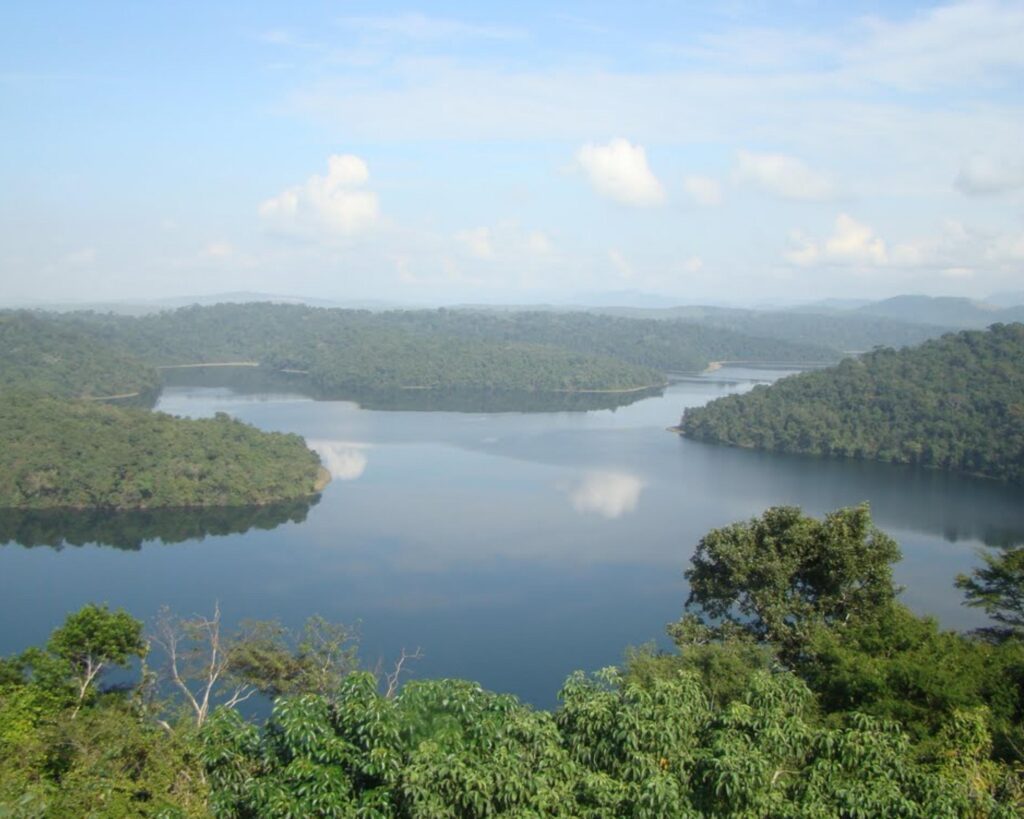 3 dias - Surpreenda-se com a beleza natural do Parque Estadual do Rio Doce! - Imagem 3