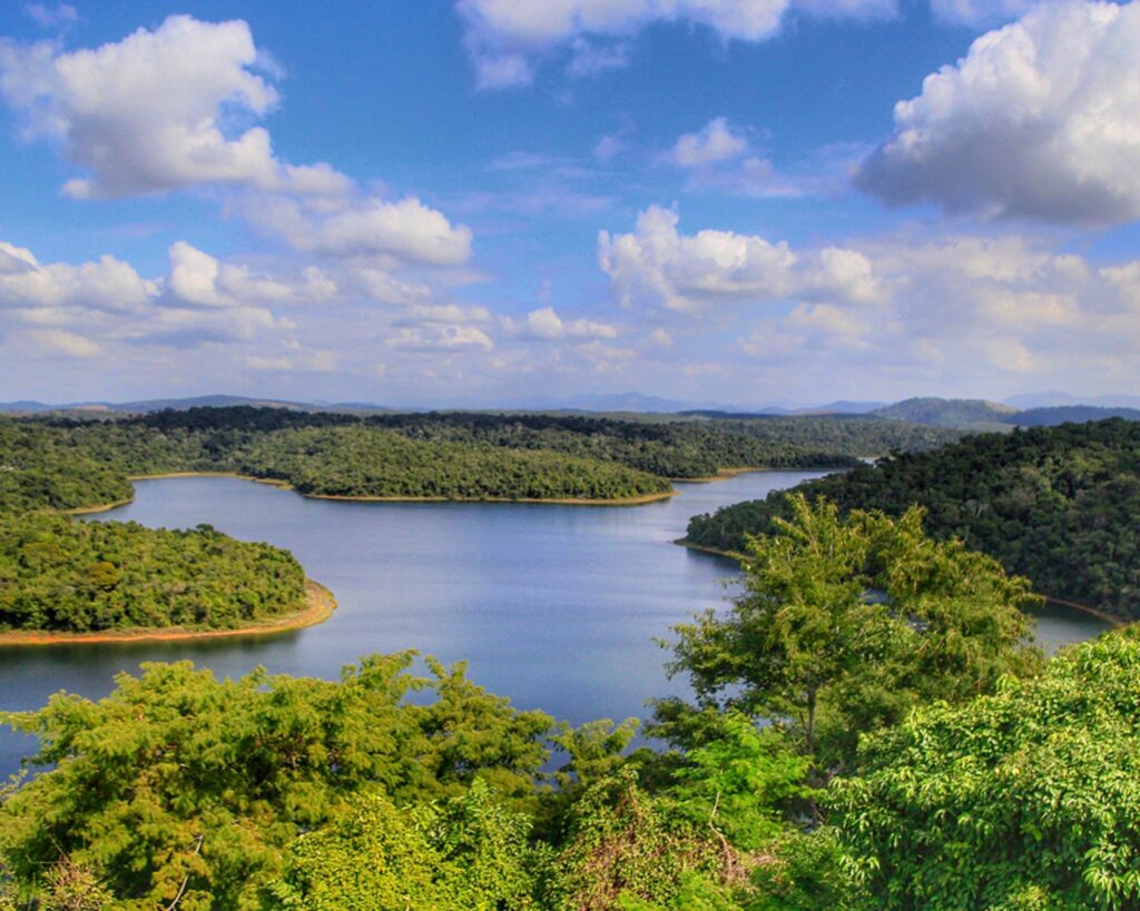 3 dias - Surpreenda-se com a beleza natural do Parque Estadual do Rio Doce!