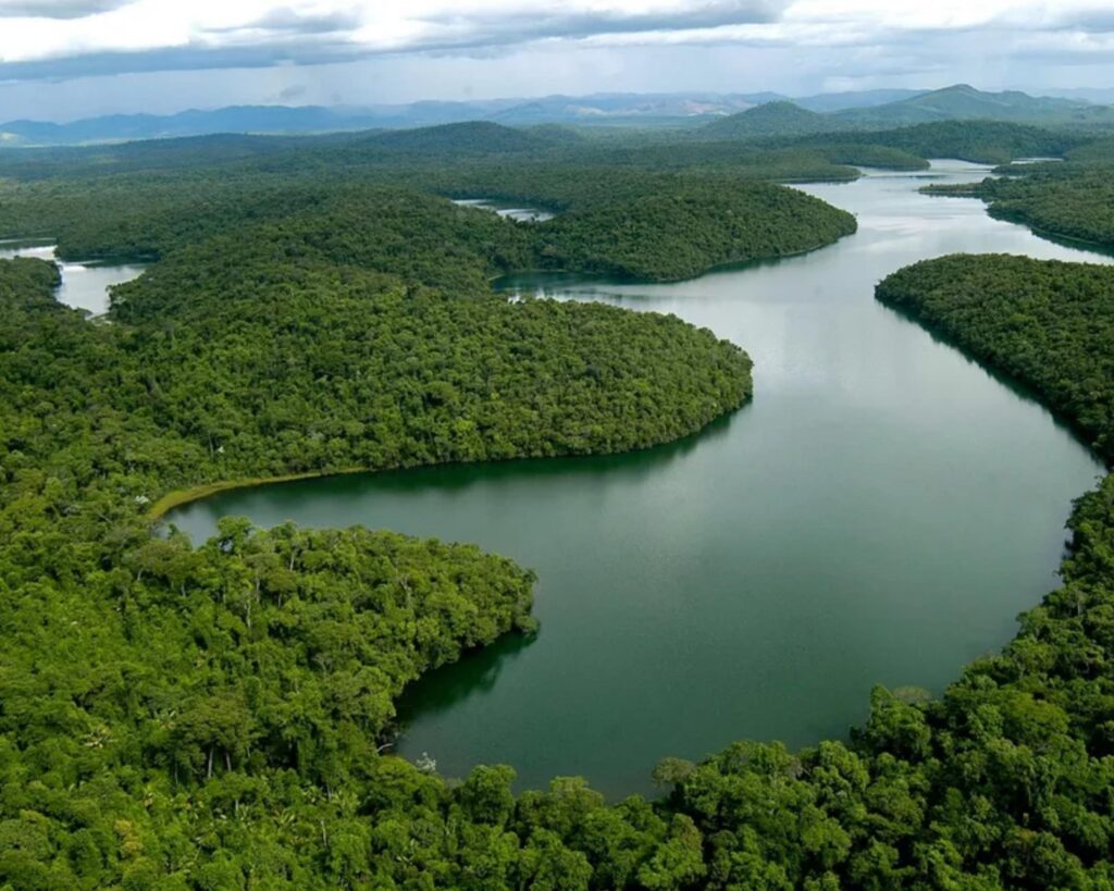 3 dias - Surpreenda-se com a beleza natural do Parque Estadual do Rio Doce! - Imagem 4