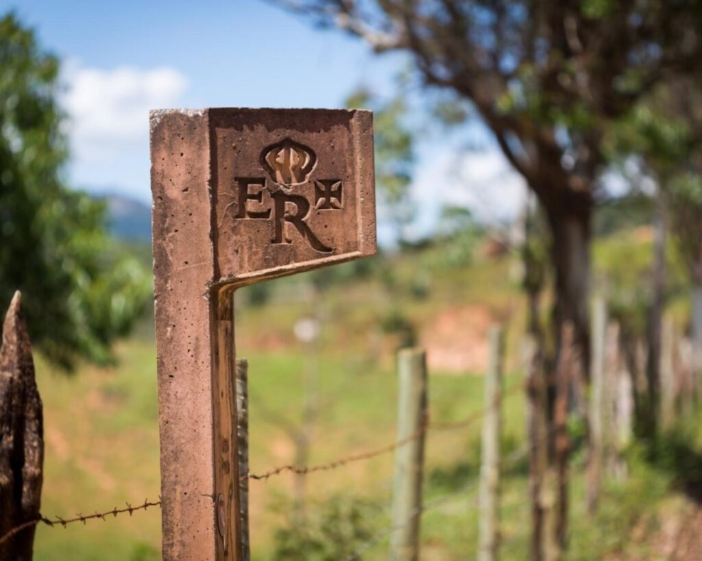 Se encante com o ecoturismo em Minas Gerais! Conheça Trilha do Carteiro na Serra de São José - Imagem 3