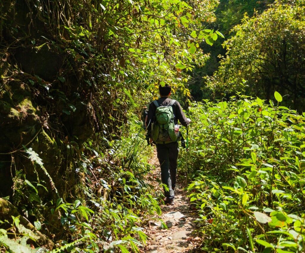 Aproveite um dia relaxante na floresta! Se desconecte da tecnologia e do cotidiano urbano! - Imagem 2