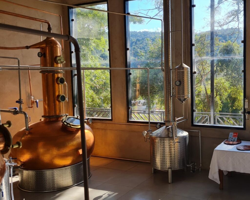 Se aventure no encantador universo da cachaça! Conheça a produção, harmonize e deguste os melhores rótulos!