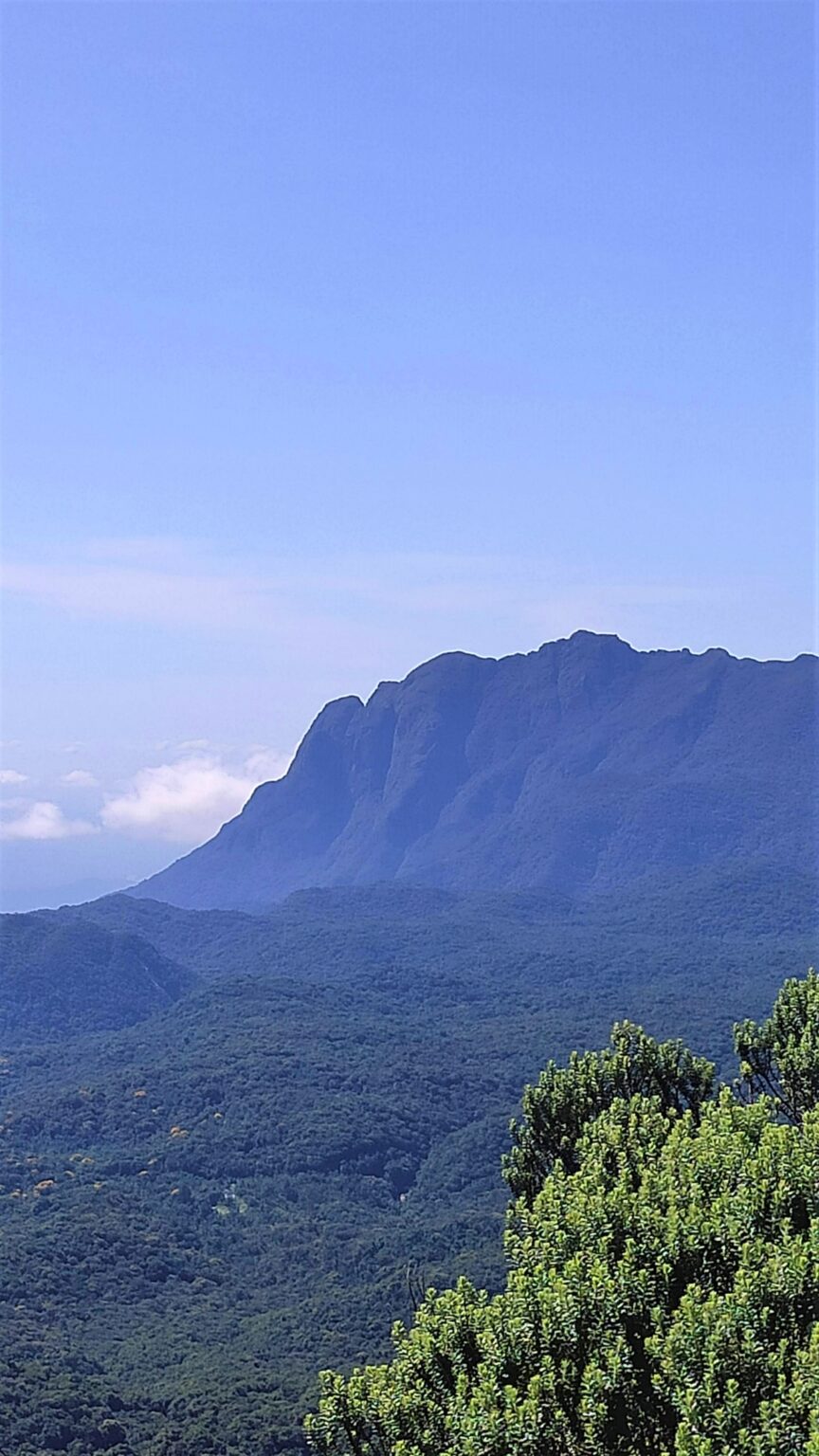 Minha Primeira Montanha + Cachoeira: uma grande aventura com trilha até o Morro Pão de Loth de Curitiba - Imagem 4