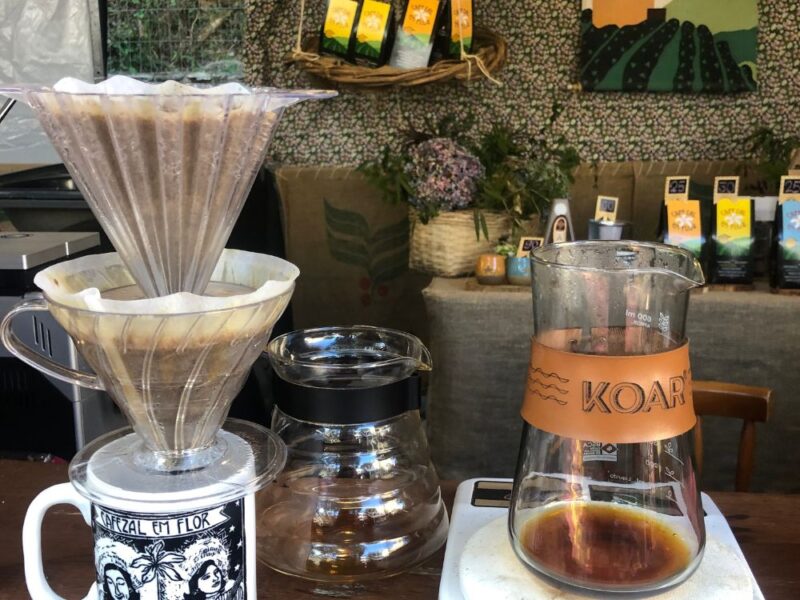 Fique por dentro dos processos produtivos do café especial e deguste diferentes grãos acompanhado por um especialista