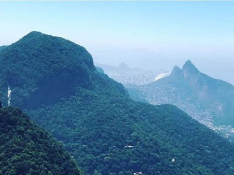 Expedição por uma das maiores florestas urbanas do mundo: explore a Floresta da Tijuca neste passeio com vistas incríveis - Imagem 4