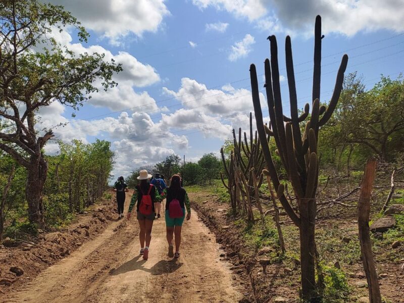 Percorra a trilha de Antônio Conselheiro em um tour pela Caatinga - Imagem 3