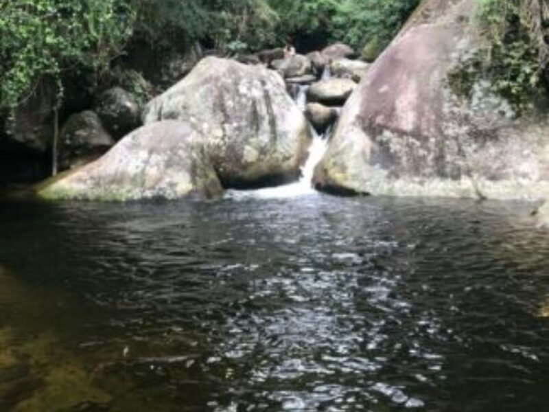 Trilha pelo terceiro parque mais antigo do país em Teresópolis - Imagem 2