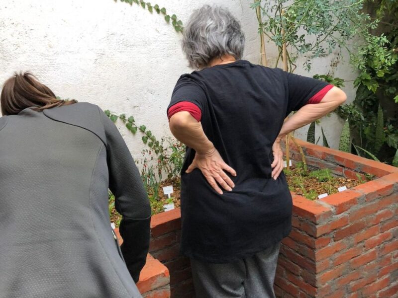 Aprenda o melhor do mundo da botânica com seu grupo de amigos sob orientação de uma bióloga especialista! - Imagem 3