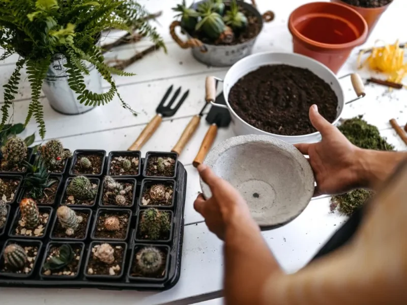 O despertar para a Ciência Botânica através do contato com o cultivo de plantas a partir de 8 pessoas - Imagem 4
