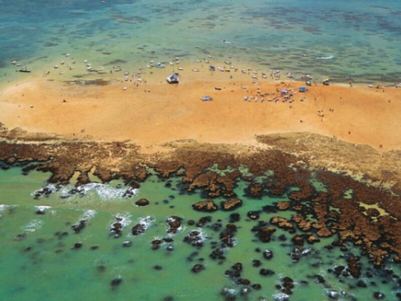 Passeio Litoral Norte - Paraíba - Imagem 2