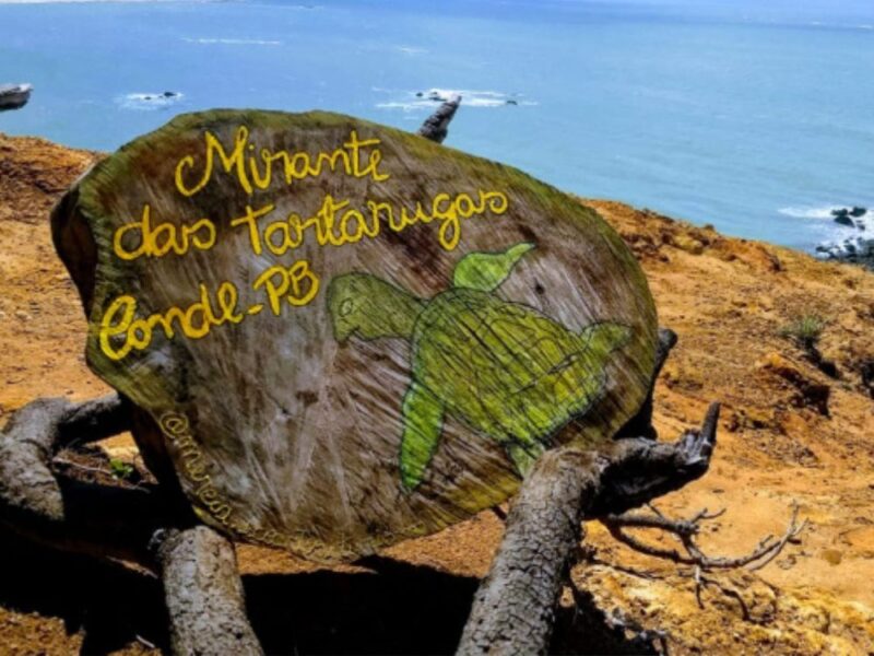 Passeio de Buggy pelo Litoral Sul - Paraíba - Imagem 3