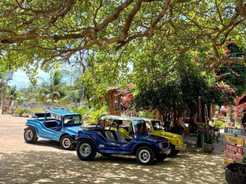 Passeio de Quadriciclo - Litoral Sul - Paraiba - Imagem 4