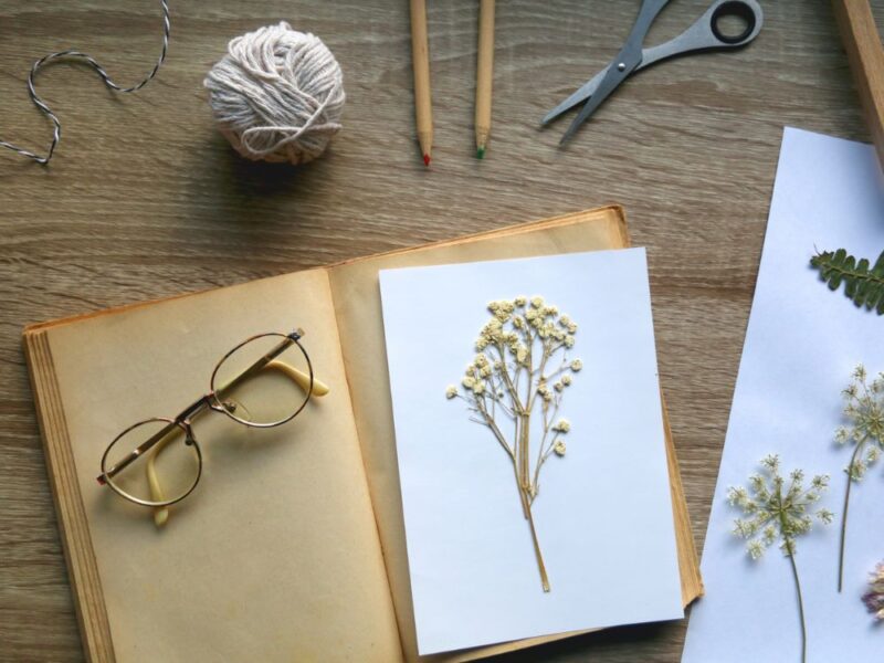 Quadros que guardam memórias: aprenda técnicas para secar plantas e flores em uma experiência coletiva e artística para a partir de 8 pessoas - Imagem 3