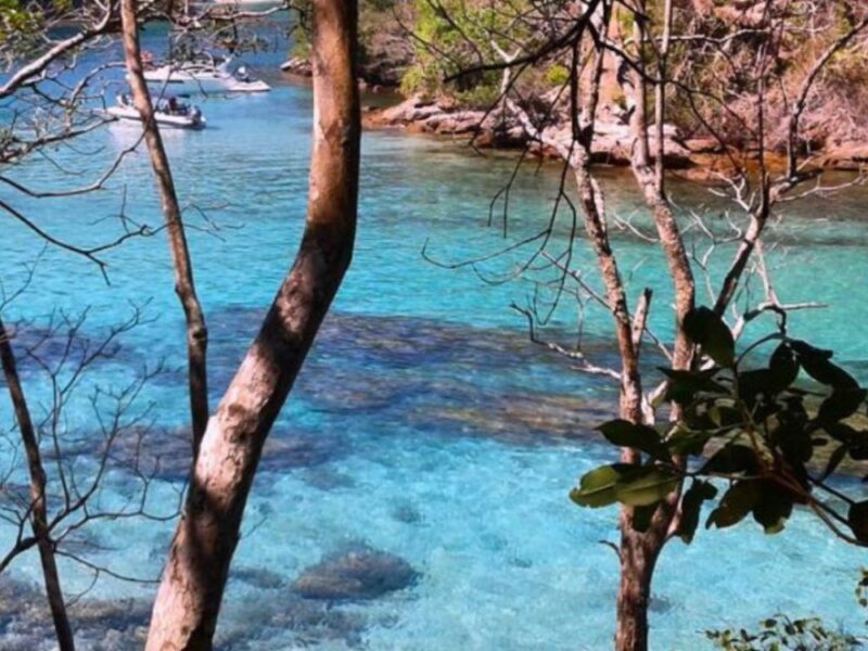 Desvende os mistérios e espetáculos da Gruta do Acaiá, um refúgio fluorescente em Ilha Grande! - Imagem 2