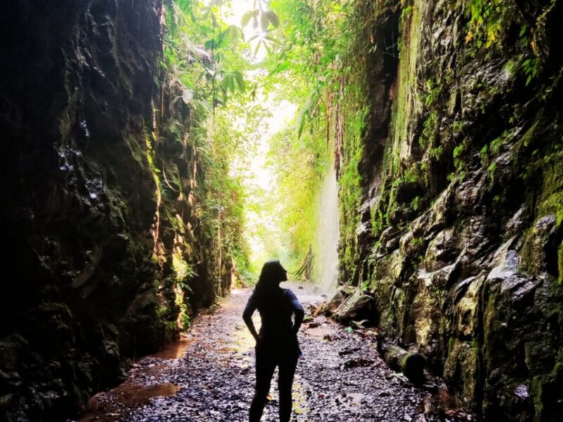Mergulhe na história do antigo trem turístico da década de 90 e contemple a Mata Atlântica de Angra dos Reis!
