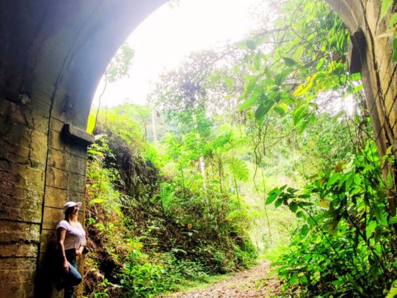 Mergulhe na história do antigo trem turístico da década de 90 e contemple a Mata Atlântica de Angra dos Reis! - Imagem 3