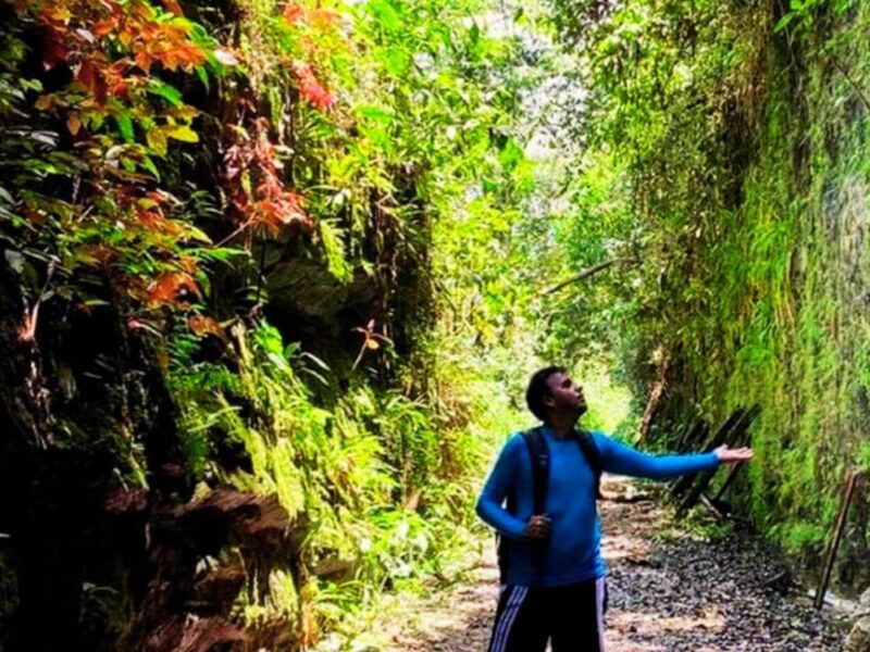 Mergulhe na história do antigo trem turístico da década de 90 e contemple a Mata Atlântica de Angra dos Reis! - Imagem 4