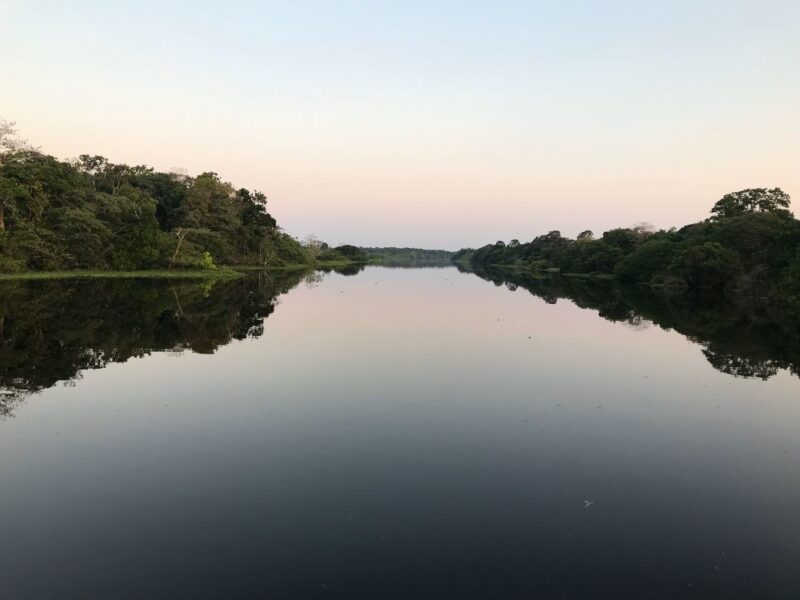 A natureza selvagem e o encontro com piranhas e botos cor-de-rosa - Imagem 4