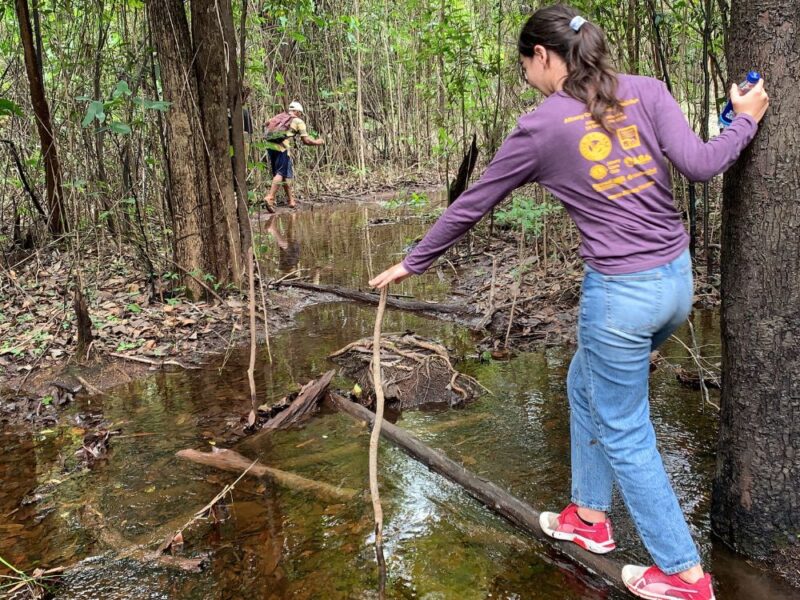 A natureza selvagem e o encontro com piranhas e botos cor-de-rosa - Imagem 3