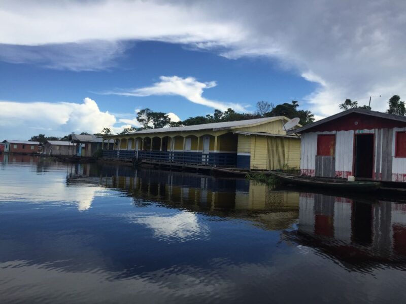 Aventura fluvial: descobrindo os tesouros naturais da Amazônia - Imagem 4