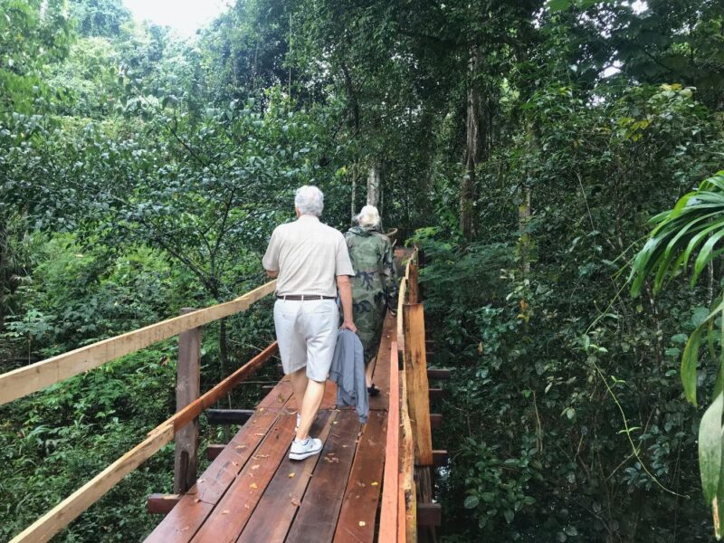 Experiência Amazônica: revelando tesouros naturais do Rio Amazonas
