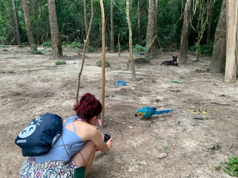 Explorando as maravilhas do Rio Negro e do Rio Amazonas com Pernoite - Imagem 3