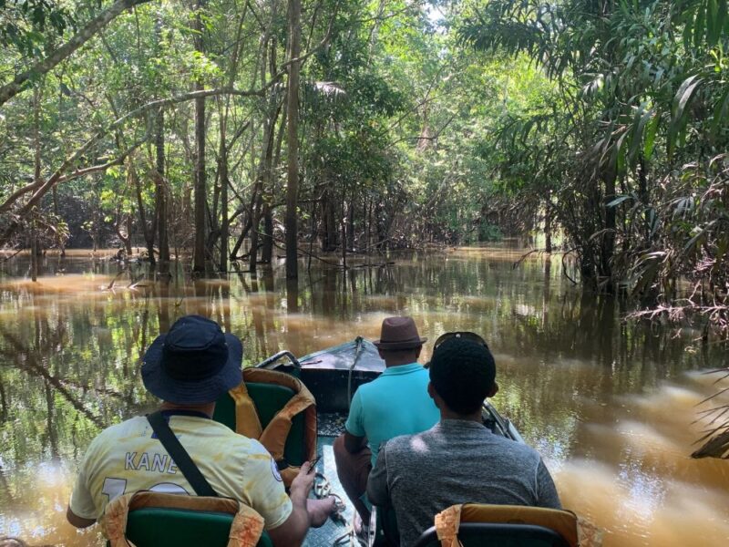 Explorando as maravilhas do Rio Negro e do Rio Amazonas com Pernoite - Imagem 2