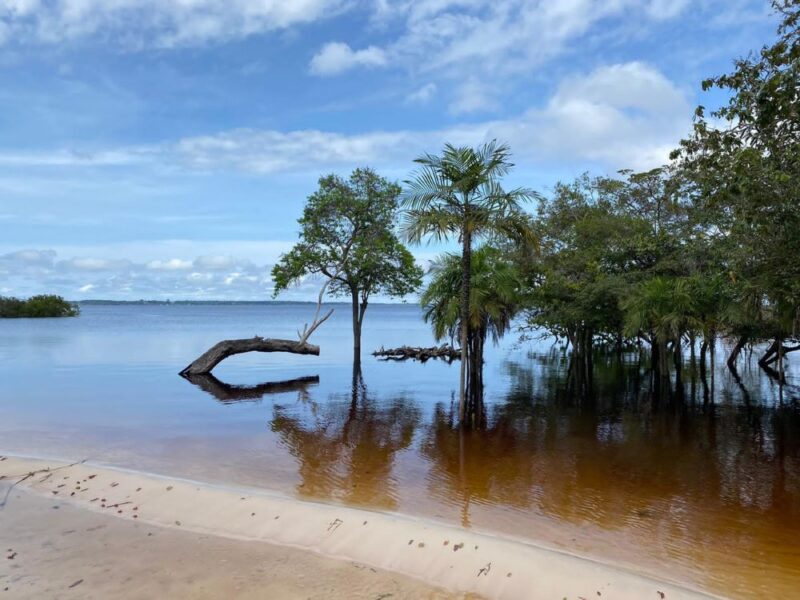 Imersão nas Tradições Indígenas às Margens do Rio Negro - Imagem 2