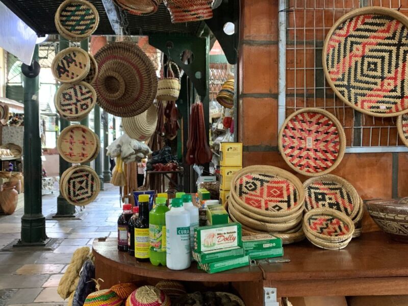 Manaus e o espetáculo do encontro das águas: uma viagem pela história e natureza Amazônica - Imagem 3