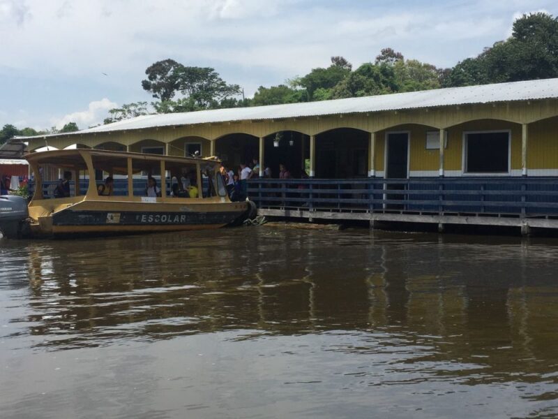 Manaus e o espetáculo do encontro das águas: uma viagem pela história e natureza Amazônica - Imagem 2