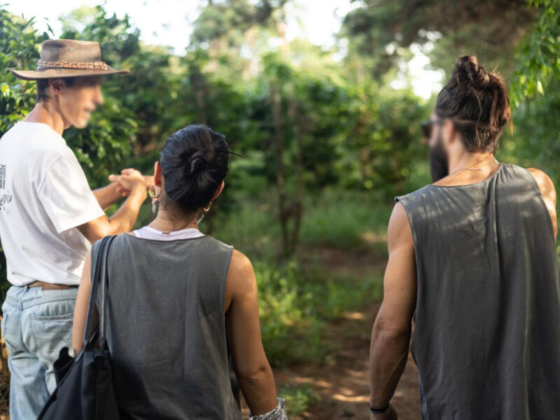 Sustentabilidade do pé à xícara: tour em fazenda sustentável com degustação de café - Imagem 2