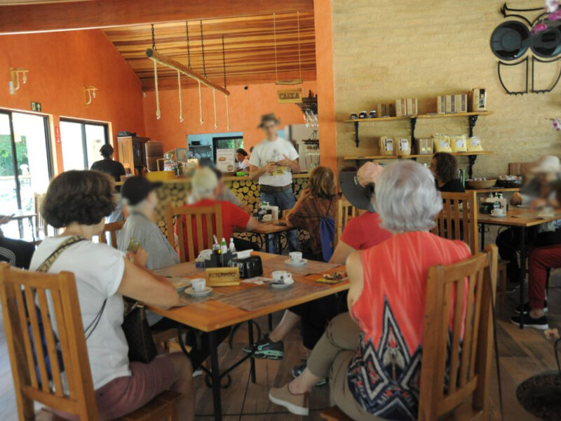 Sustentabilidade do pé à xícara: tour em fazenda sustentável com degustação de café