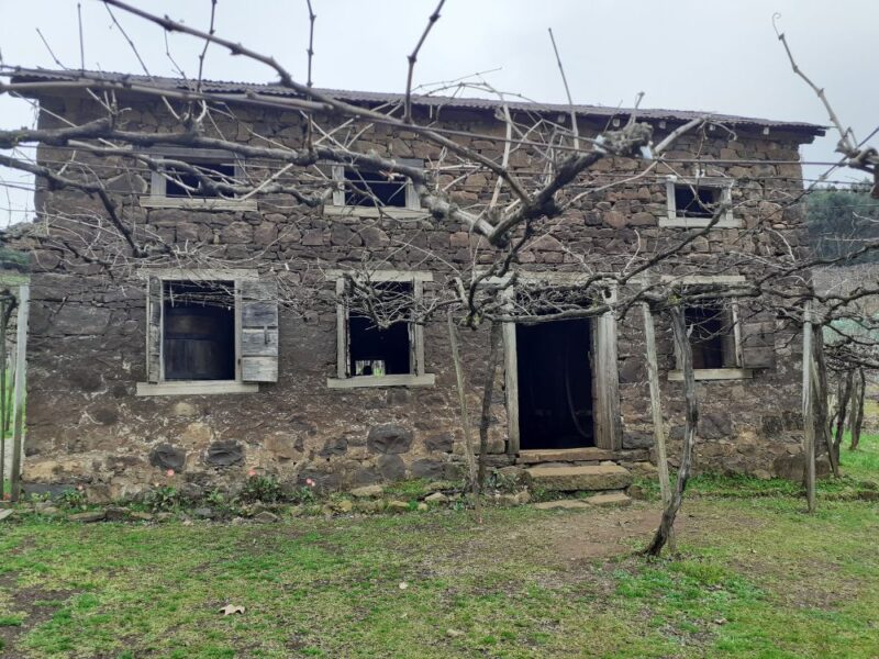 Caminhos de Pedra: desvende a história da imigração italiana na região sul do Brasil - Imagem 2