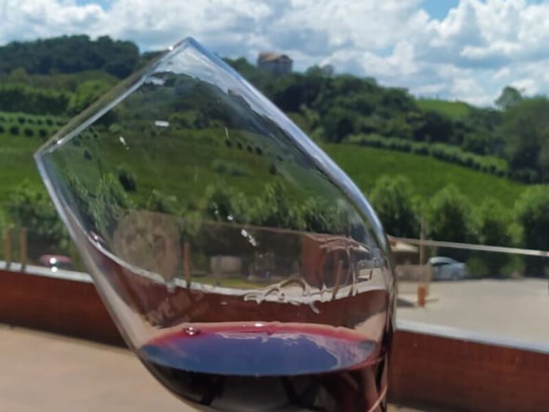 Descobrindo os tesouros do terroir sulista com as vinícolas boutique, suas origens e tradições - Imagem 4