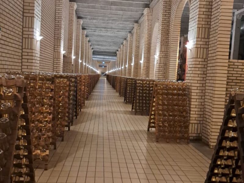Encante-se com o Vale dos Vinhedos e aprenda técnicas para degustar vinhos e espumantes - Imagem 3